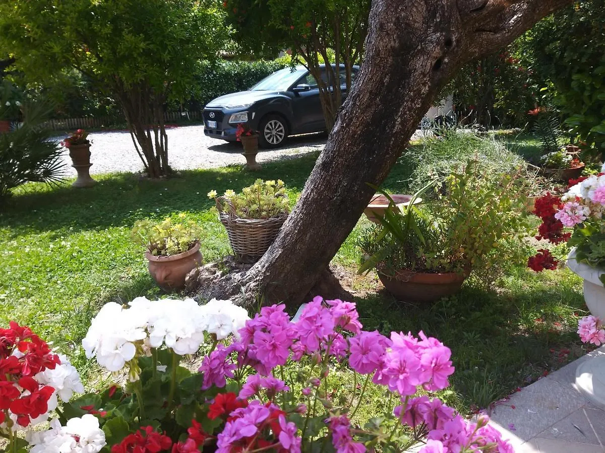 Lula B&B Lucca