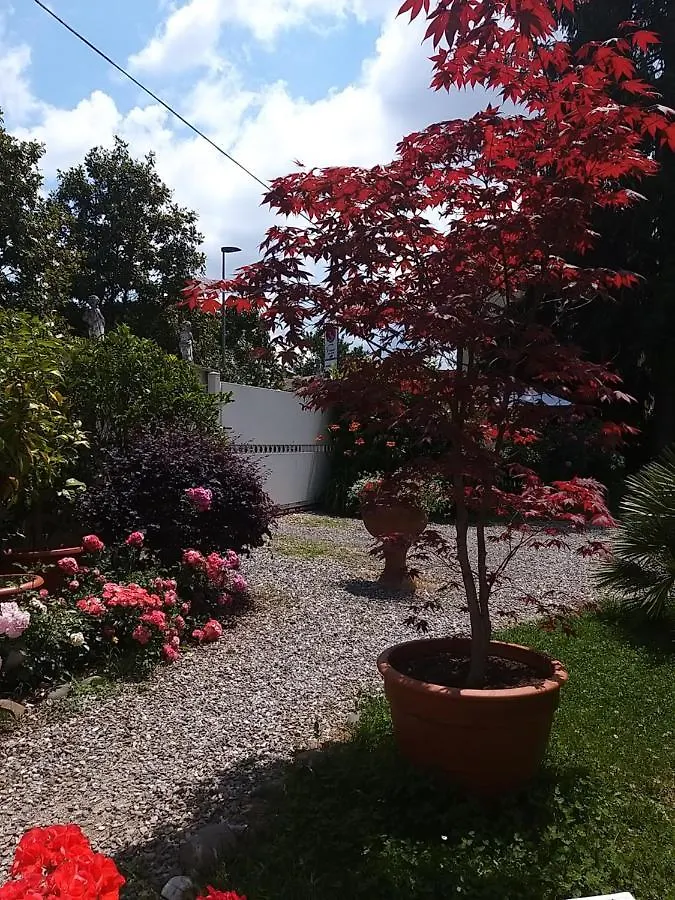 Lula B&B Lucca Italy